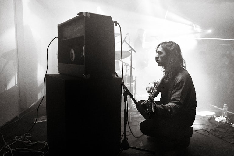 Wych Elm at Strange Brew, Bristol, November 2023. Photograph Copyright © Simon Holliday